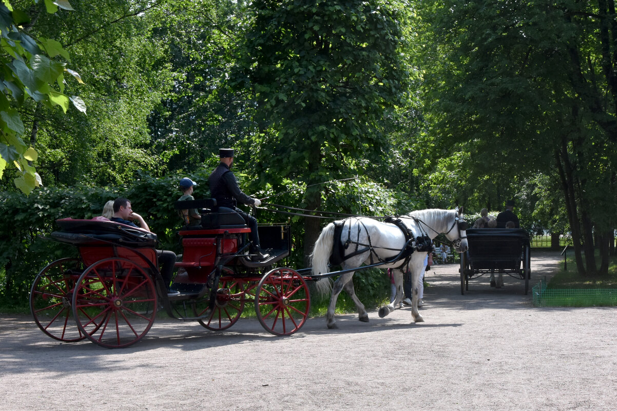 Москва. Усадьба Кусково. - Наташа *****