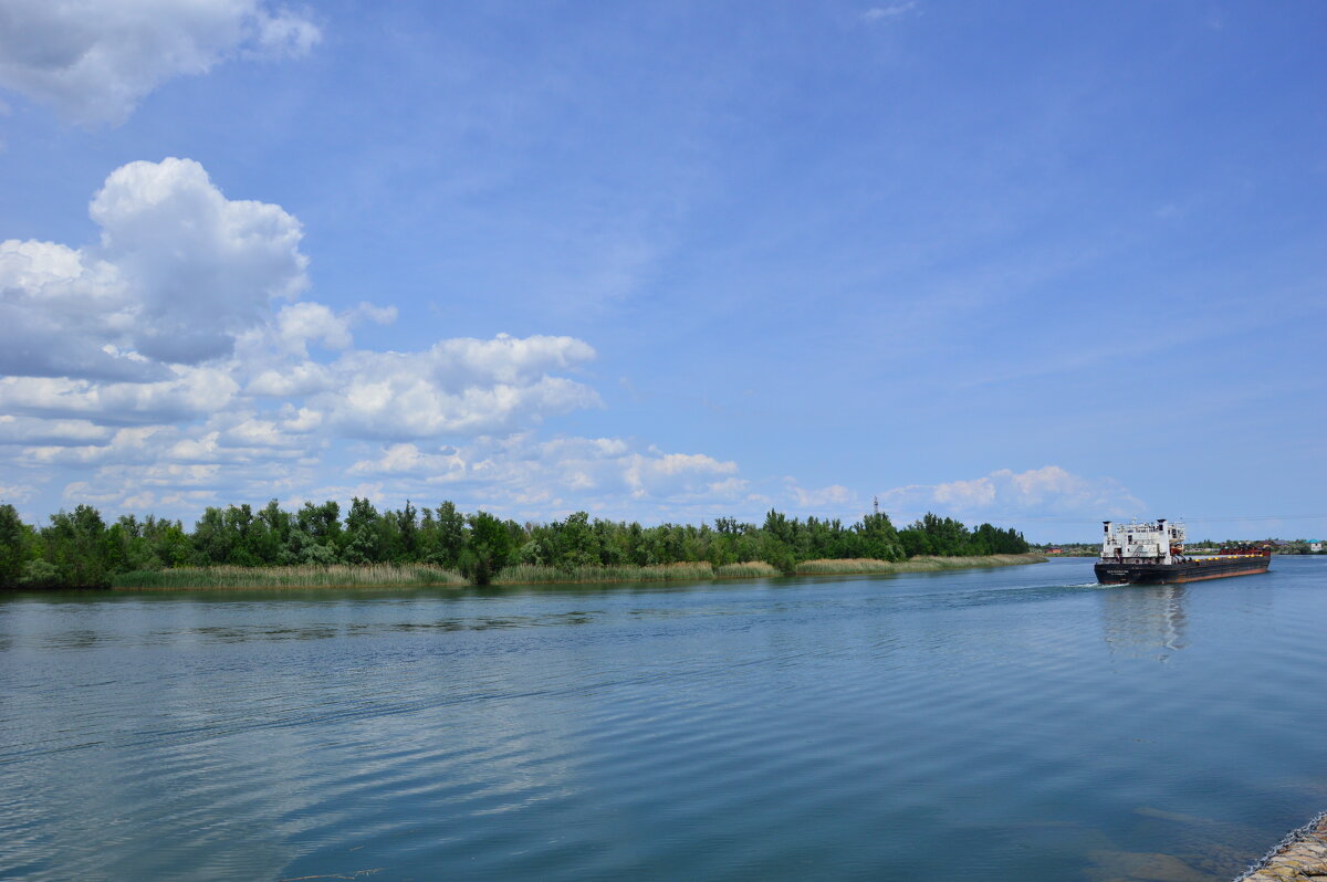 Донские виды. - Виктор 