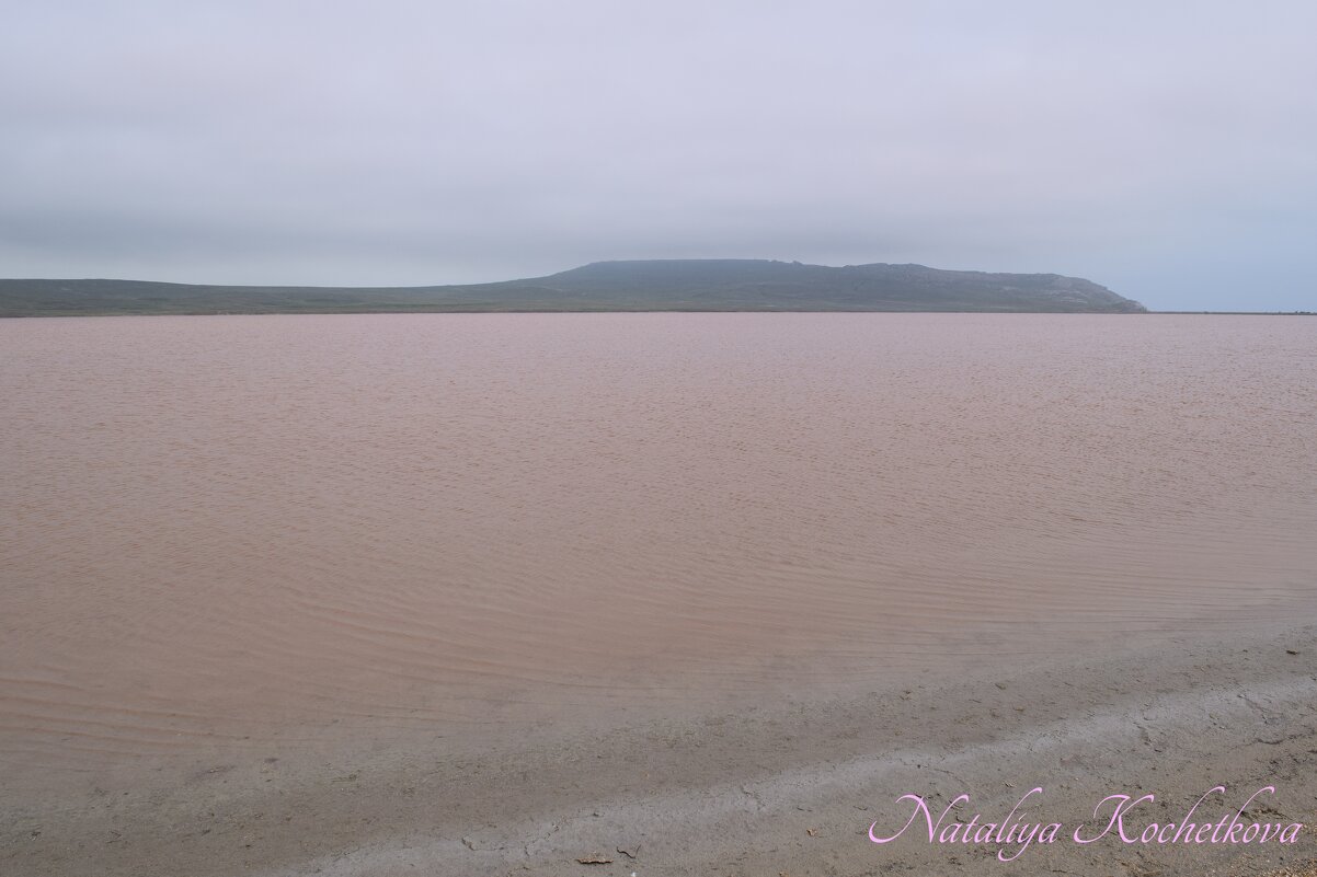 Природа Крыма - Amazing Cosmea