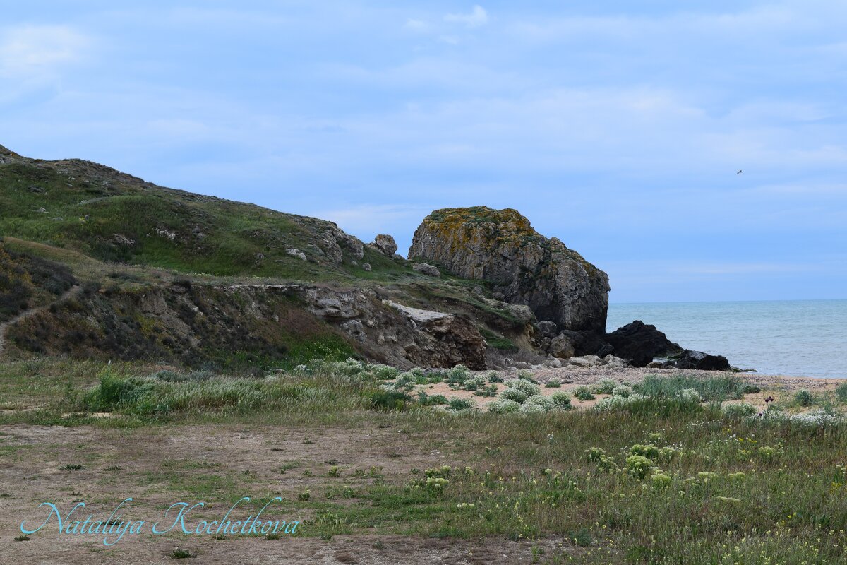 Природа Крыма - Amazing Cosmea Природа Крыма - Amazing Cosmea