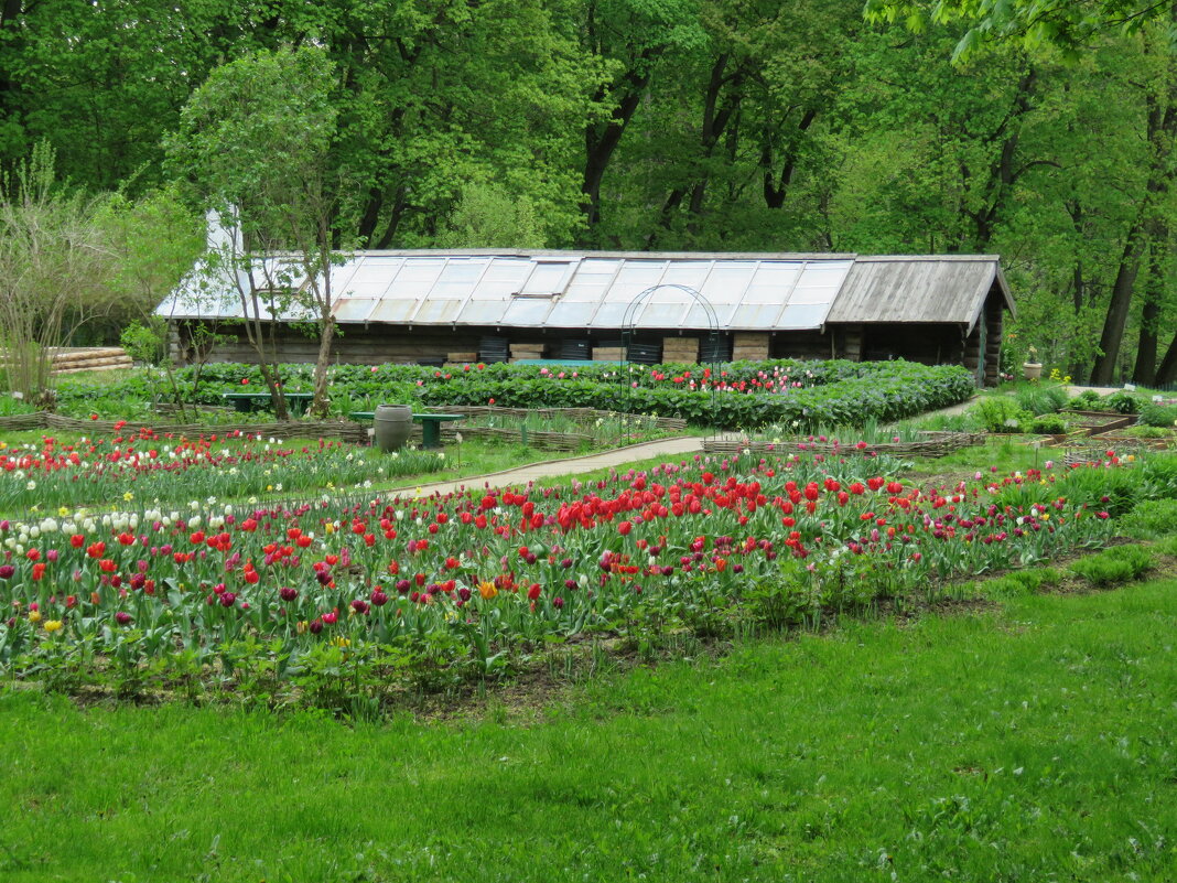 Теплица усадьбы Ясная Поляна - ИРЭН@ .