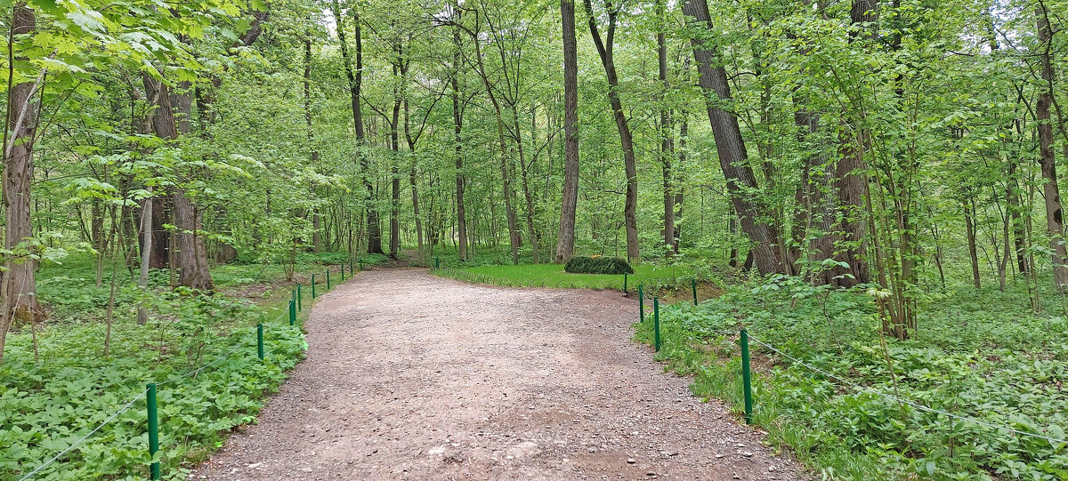 К могиле Льва Толстого в Ясной Поляне - ИРЭН@ .