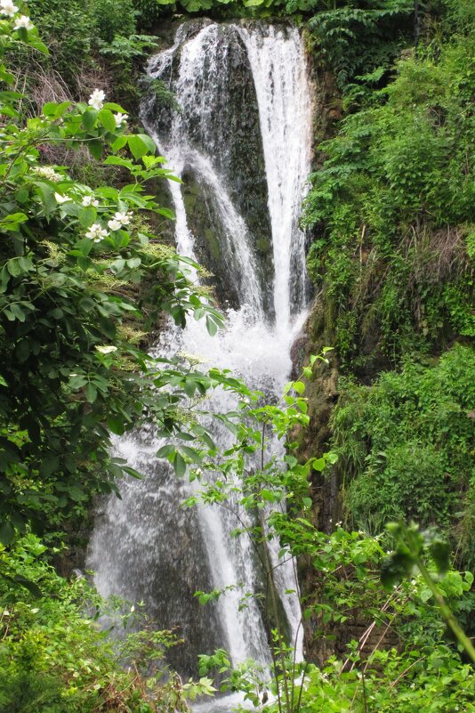 Ботанический сад Балчик - Натали 
