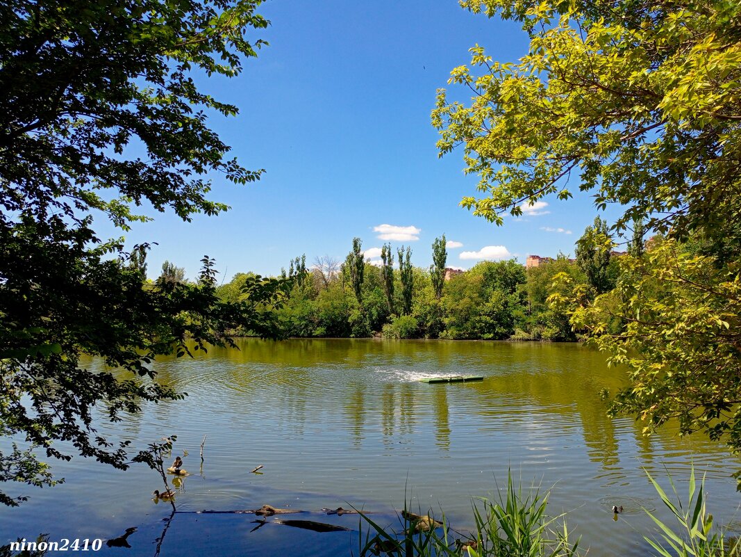 В ростовском зоопарке - Нина Бутко В ростовском зоопарке - Нина Бутко