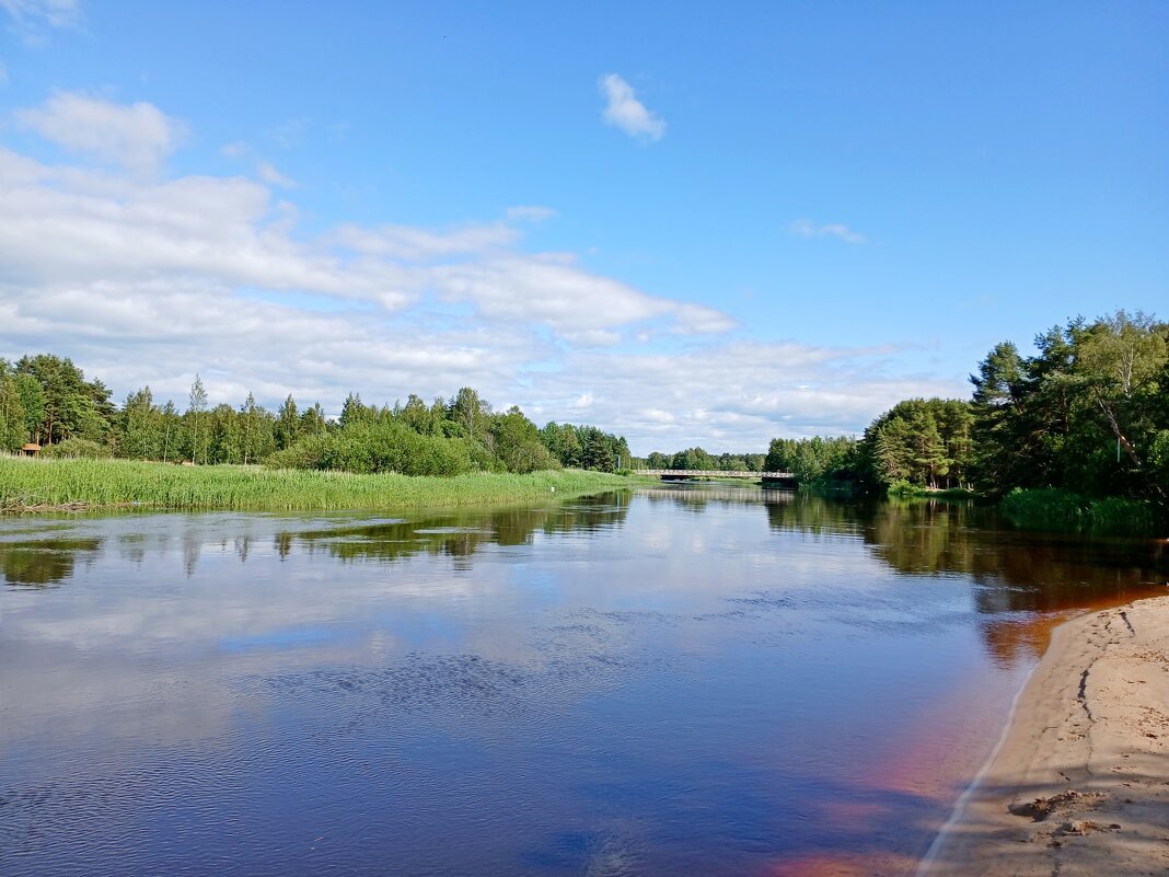 Река Коваш. - Лия ☼