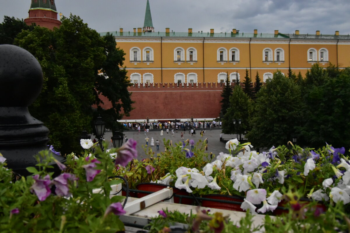 Городской пейзаж. - Наталья Вязигина