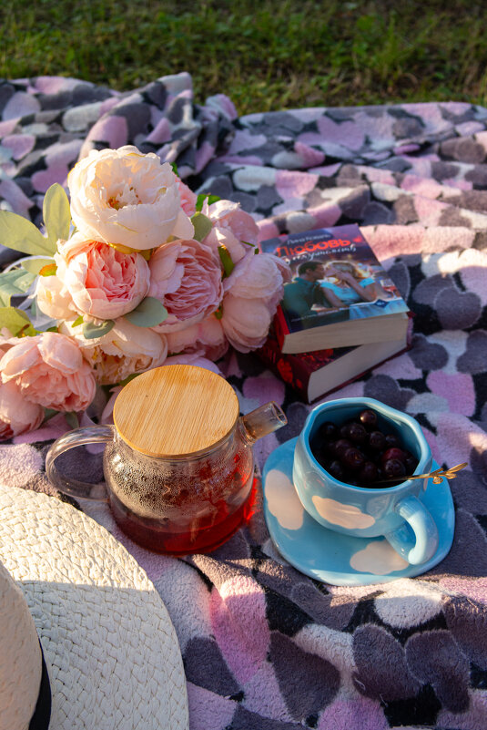 Пикничок в парке - Светлана Мишенёва