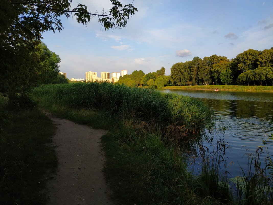 Тема с двумя вариациями - Андрей Лукьянов