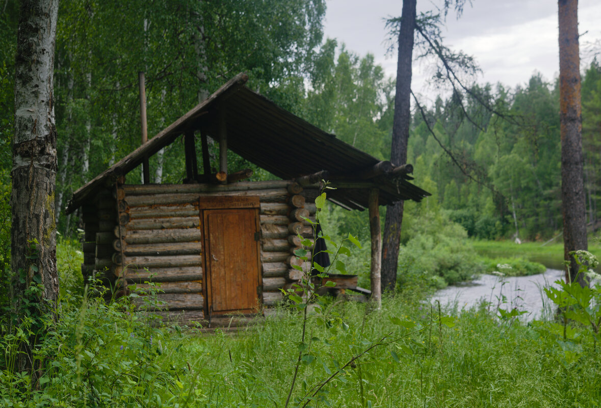 Лесная избушка - Сергей Шаврин