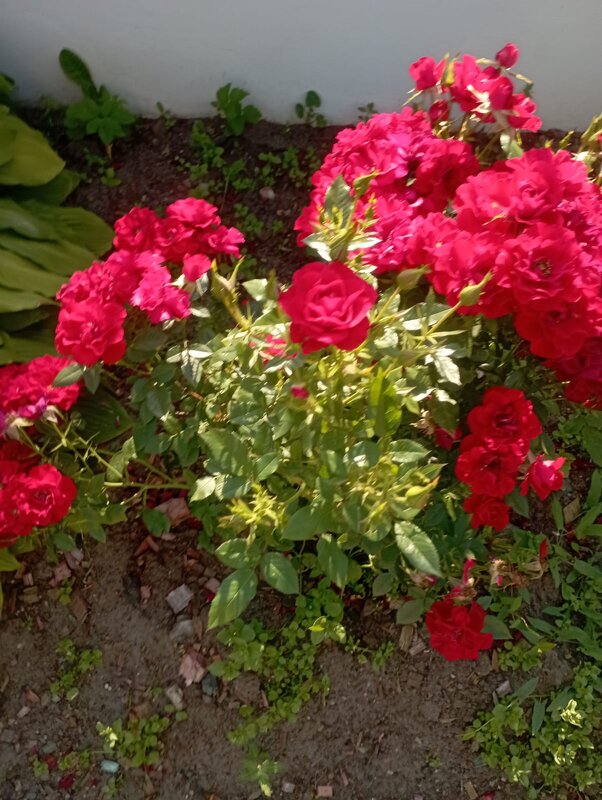 На улицах города - Елена Семигина