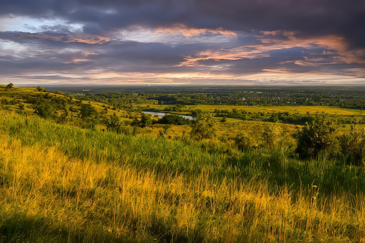 Летний вечер - Игорь Сикорский