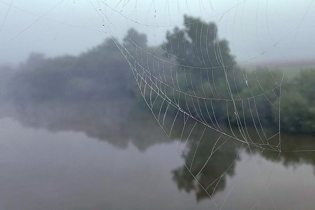 *** - Владимир *** - Владимир