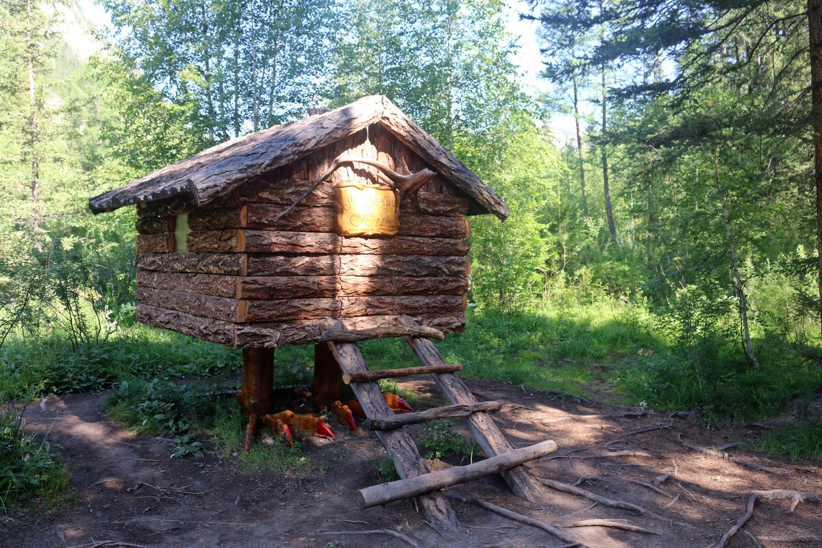 Лесные тайны - Ольга Лесные тайны - Ольга