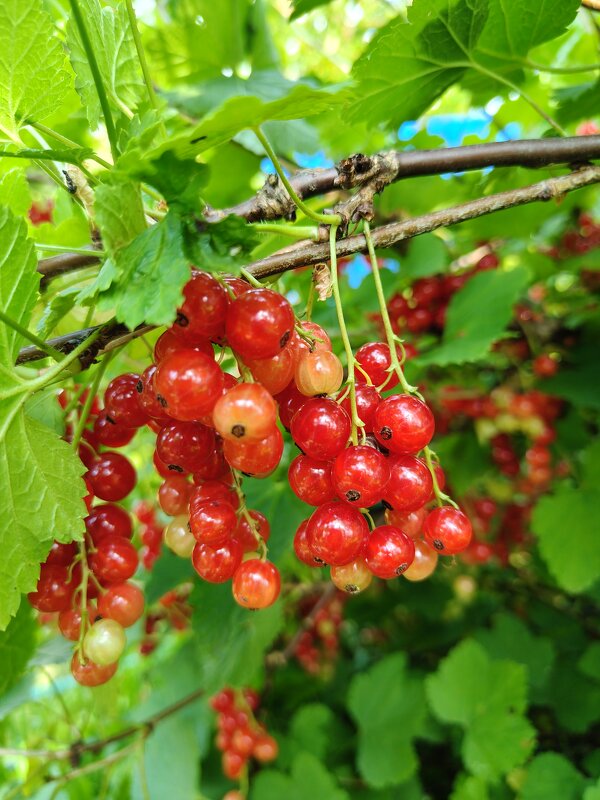 )) - Андрей )) - Андрей