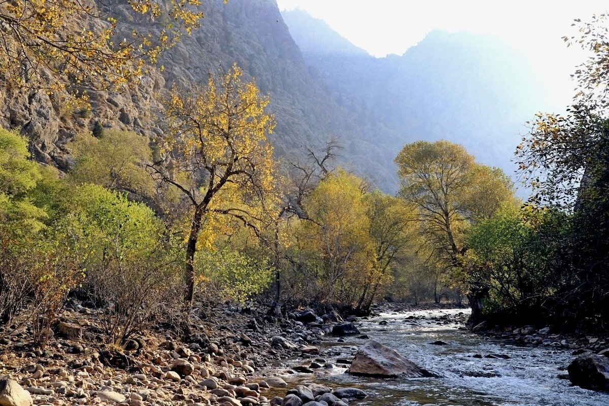 ПО НИЗАМ. - Виктор Осипчук