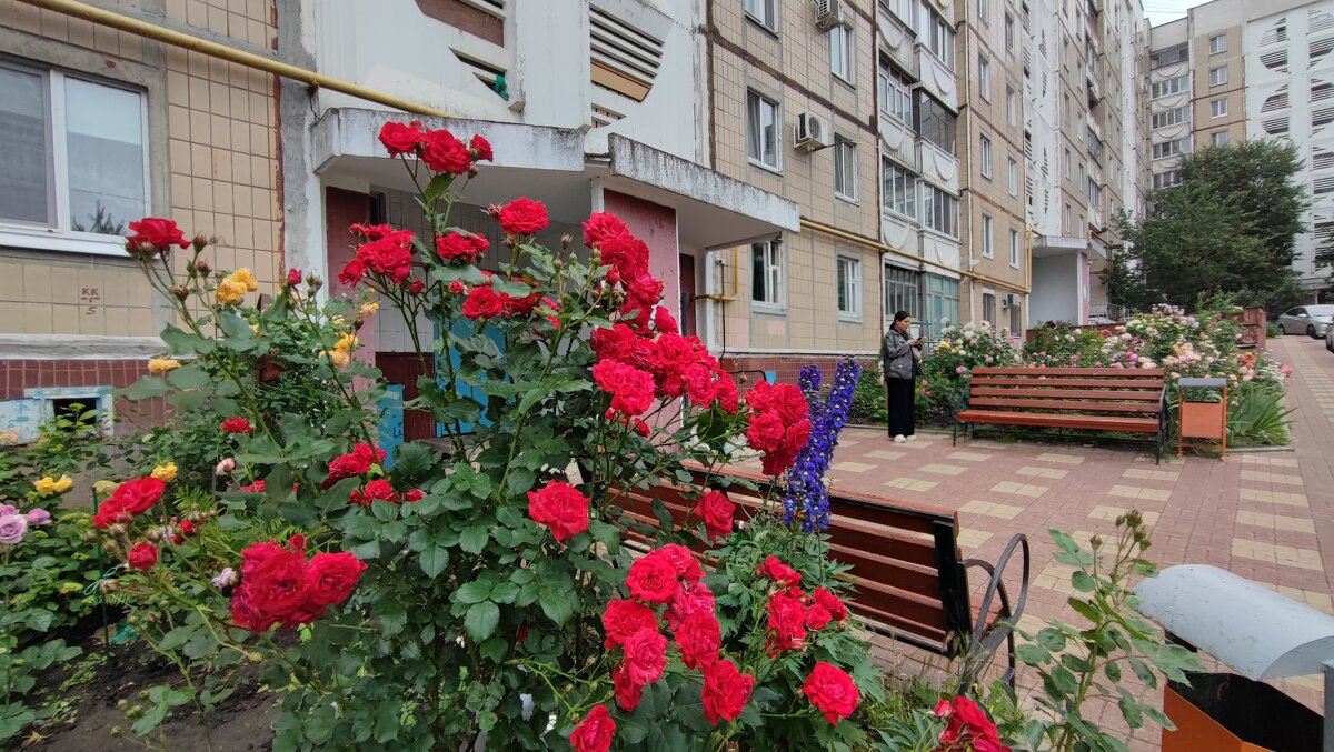 ,,, - Сергей Тимоновский