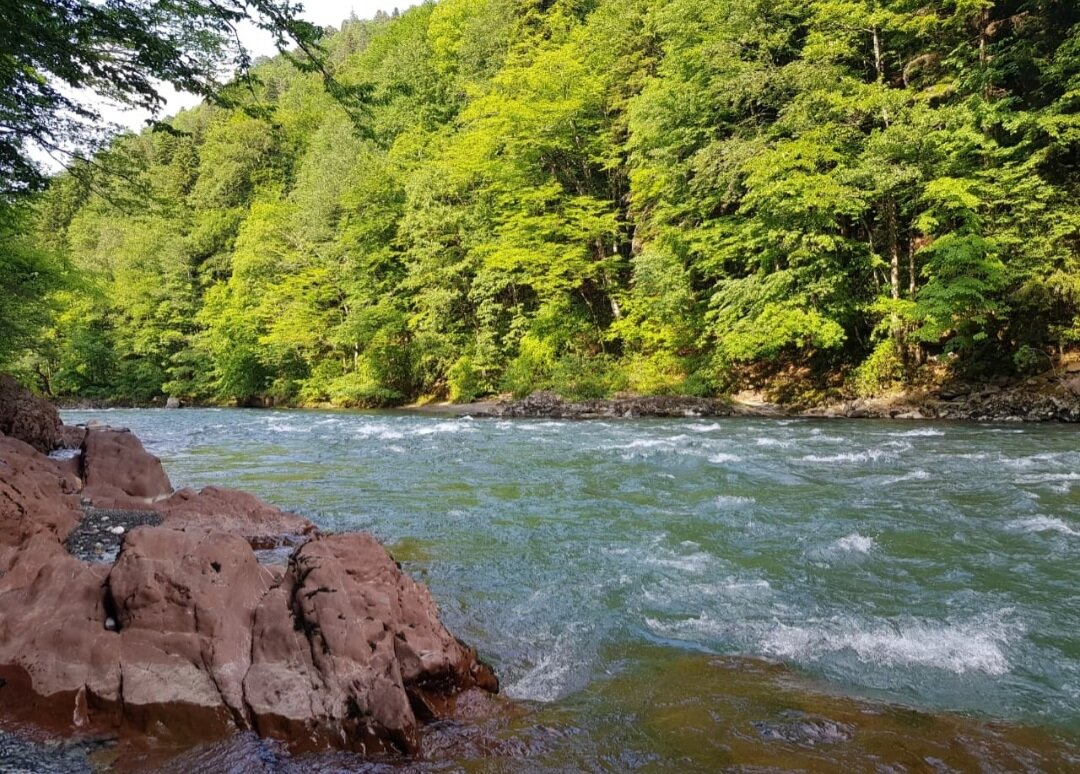 Река Белая - Tata Wolf