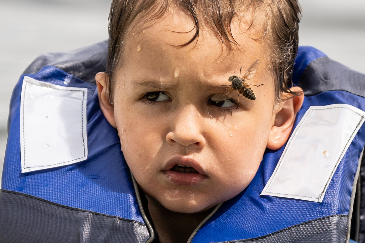 1 - Сергей Флетчер