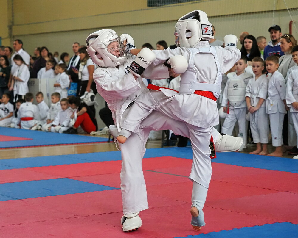 Каратэ. - Евгений Седов Каратэ. - Евгений Седов