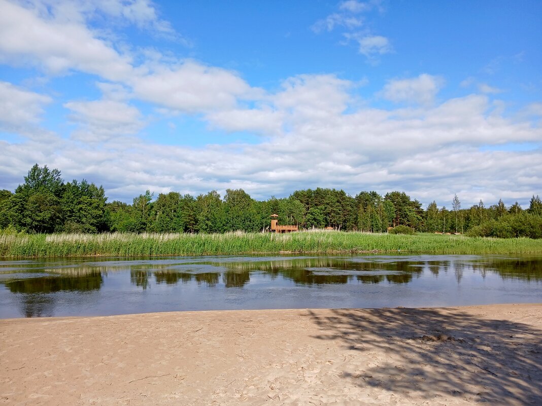 Вид на смотровую вышку с берега реки. - Лия ☼