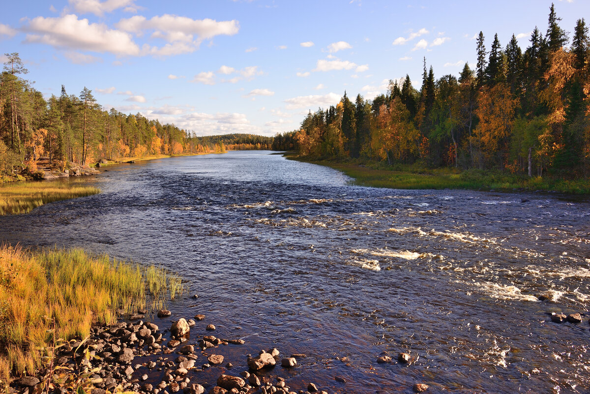 Река Писта - Александр Хаецкий