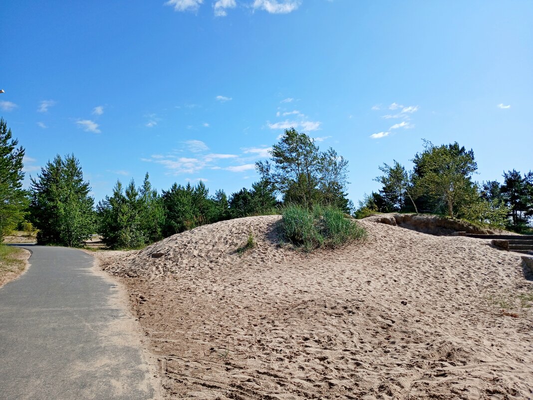 Дорога среди дюн. - Лия ☼