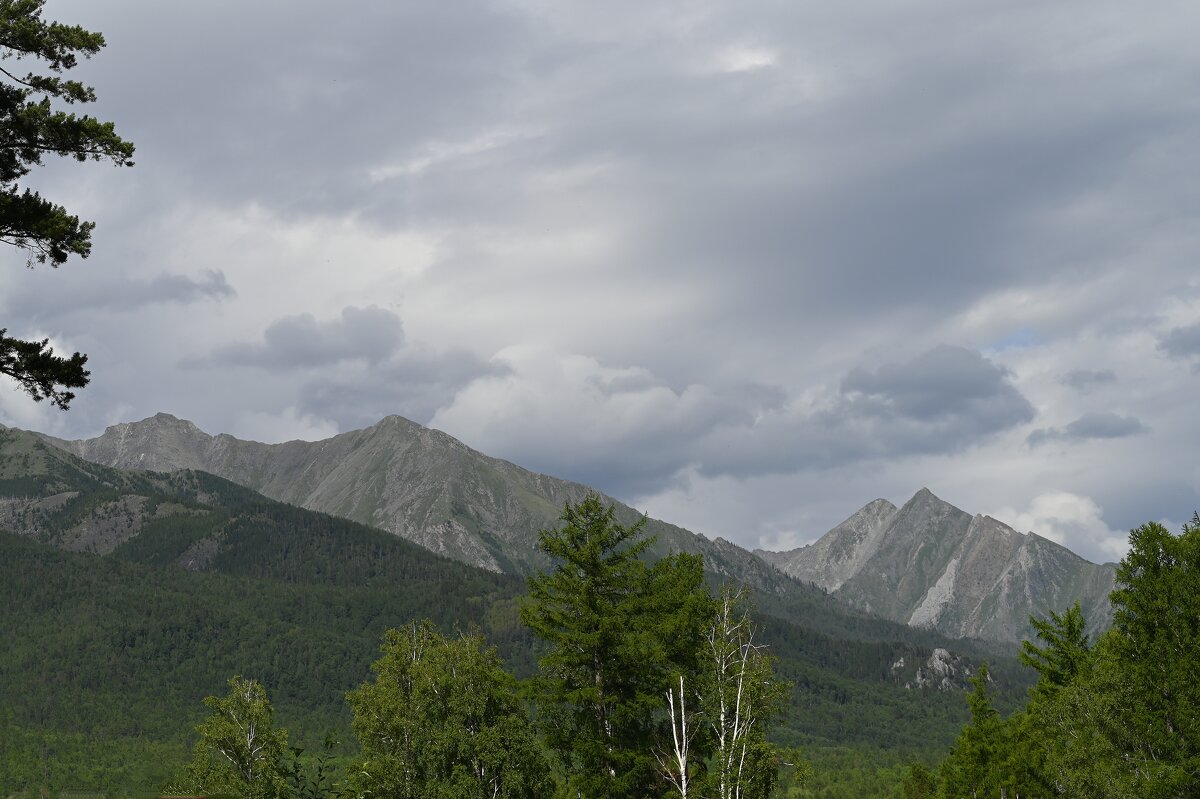 Предгорье Саян - Ольга 