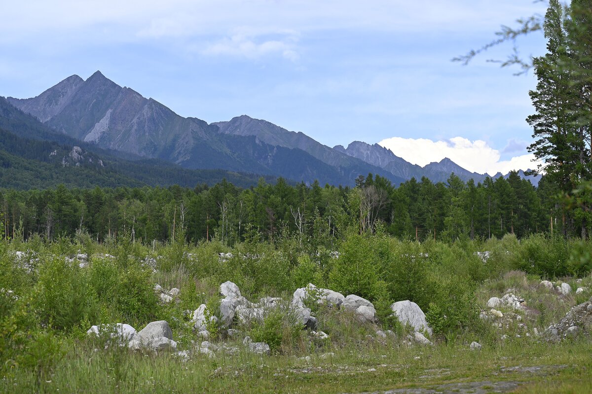 Предгорье Саян - Ольга 