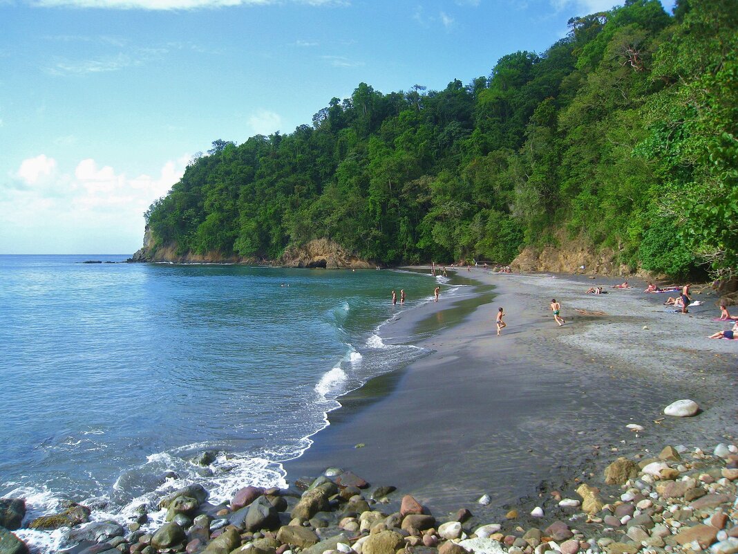 Змеиная бухта (Anse Couleuvre) на Мартинике. - unix (Илья Утропов)