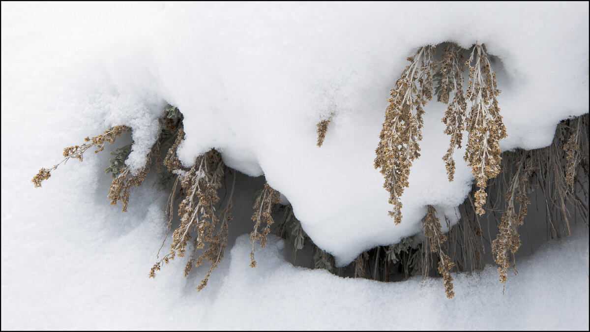"Снегопад давно прошел..." - **** vedin