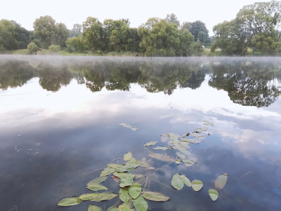 Природа - Виктория Тукмакова Природа - Виктория Тукмакова