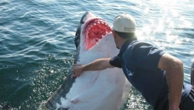 Ну что - соскучилась ? - Валерий Кокорев