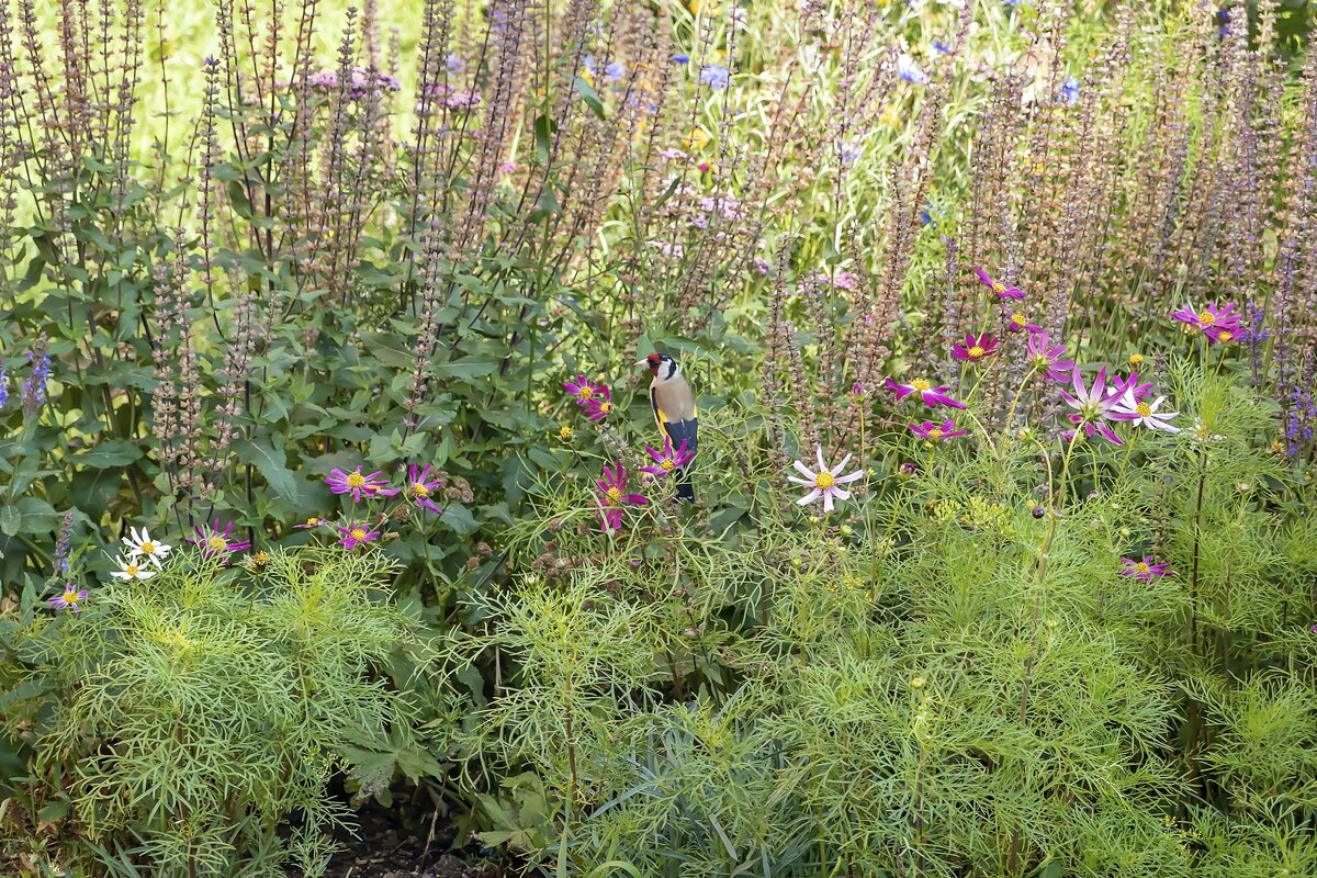 Ценитель прекрасного - Валерий Иванович Ценитель прекрасного - Валерий Иванович