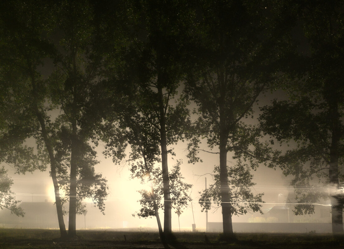 Таинственность ночного тумана - Сергей Шаврин