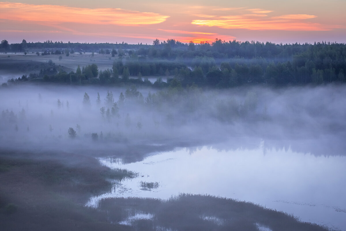 **** - Елизавета .