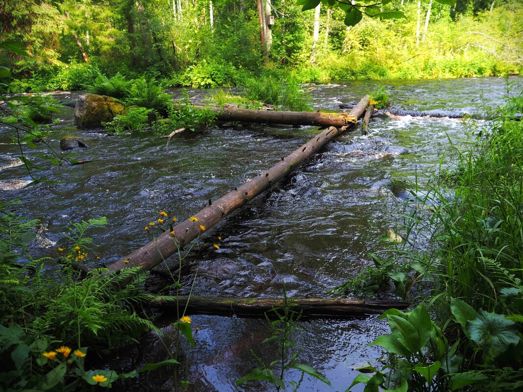 Про Знаки в Линдуловской роще - Магомед .