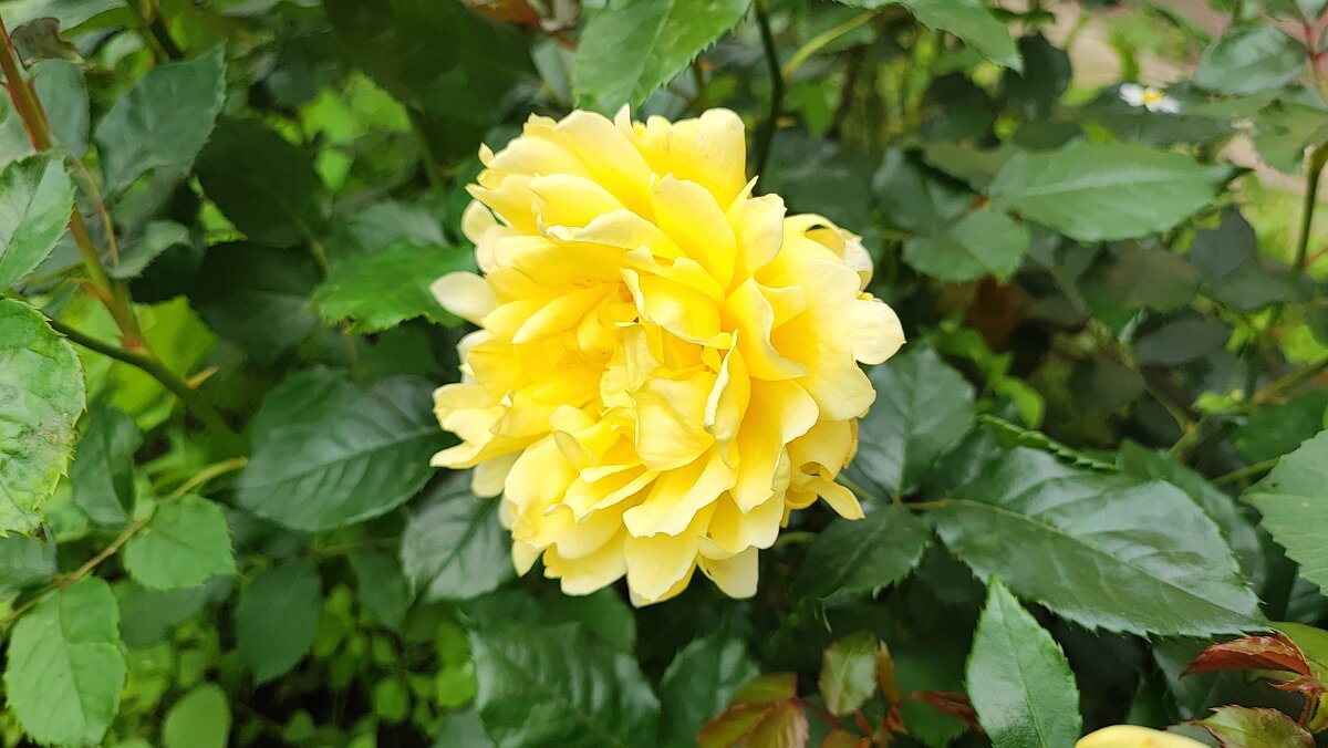 ,,, - Сергей Тимоновский ,,, - Сергей Тимоновский