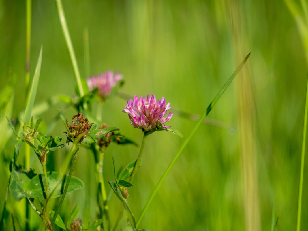 ___ - Yuriy V ___ - Yuriy V