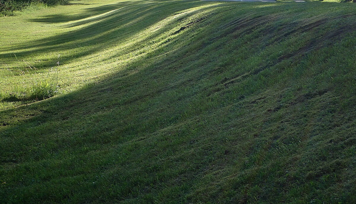 Помните песню - зеленая,зеленая трава...? - rimgis 