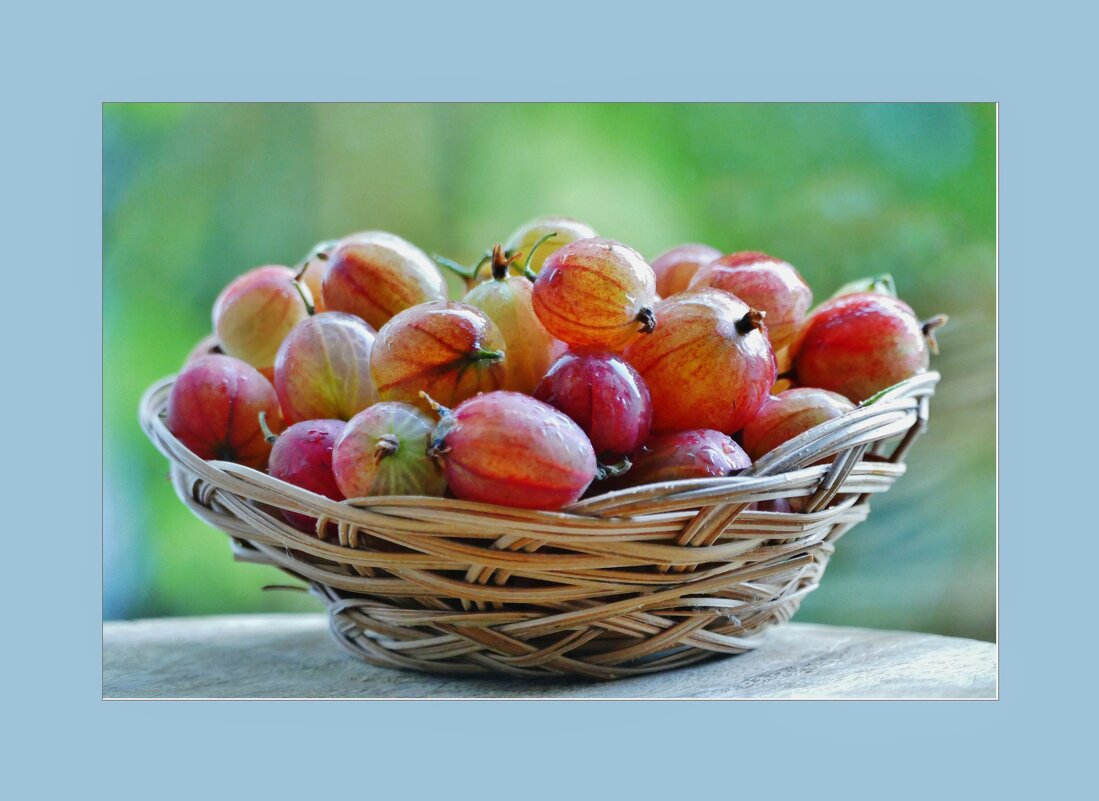 ДАР ЛЕТА... - Elvira E. 