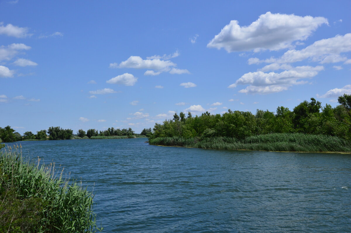 Местная река. - Виктор 