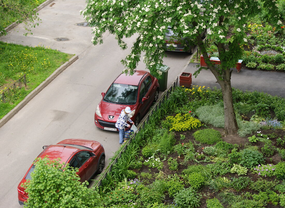 /// - Виктор Никитенко