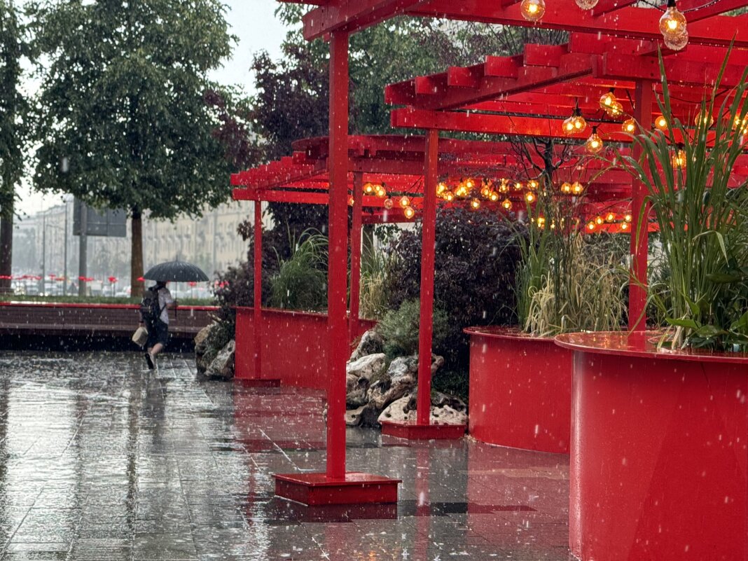 Дождь - Анна Камс