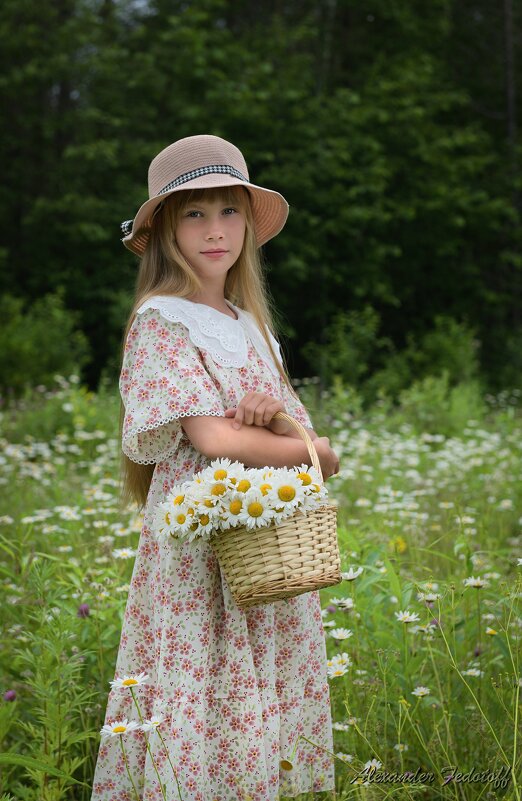 Ромашковое лето. - Alexander Fedotov