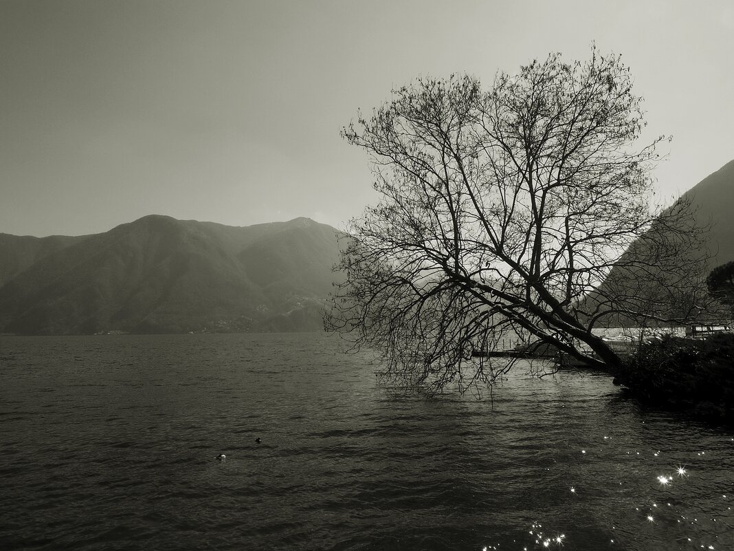 Lugano Швейцария - Civetta ***