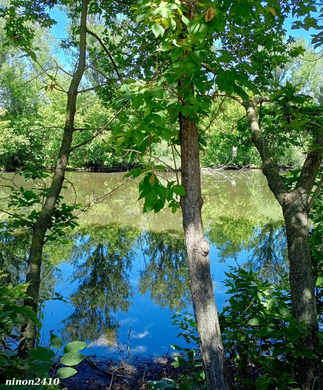 В ростовском зоопарке - Нина Бутко В ростовском зоопарке - Нина Бутко