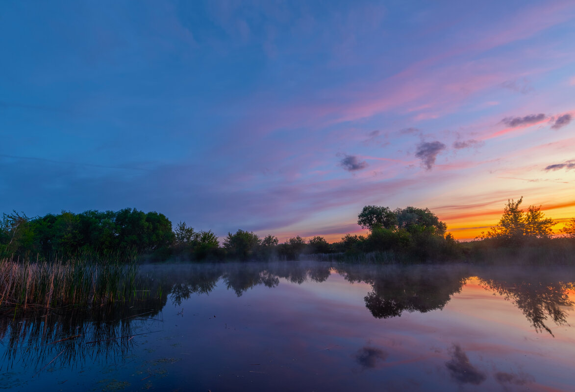 * - Виталий Емельянов