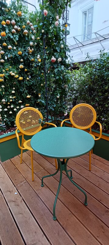 под сенью роэ - Галина R... под сенью роэ - Галина R...