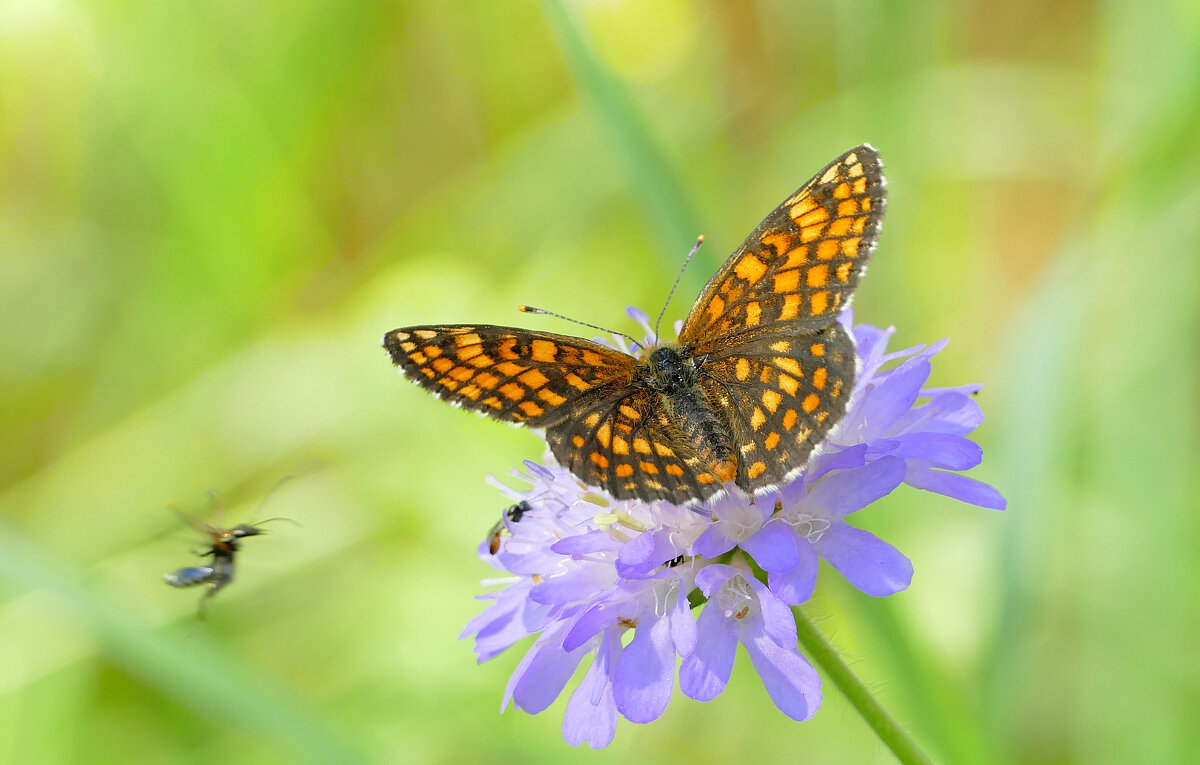 из вчерашней съёмки 2 - Александр Прокудин