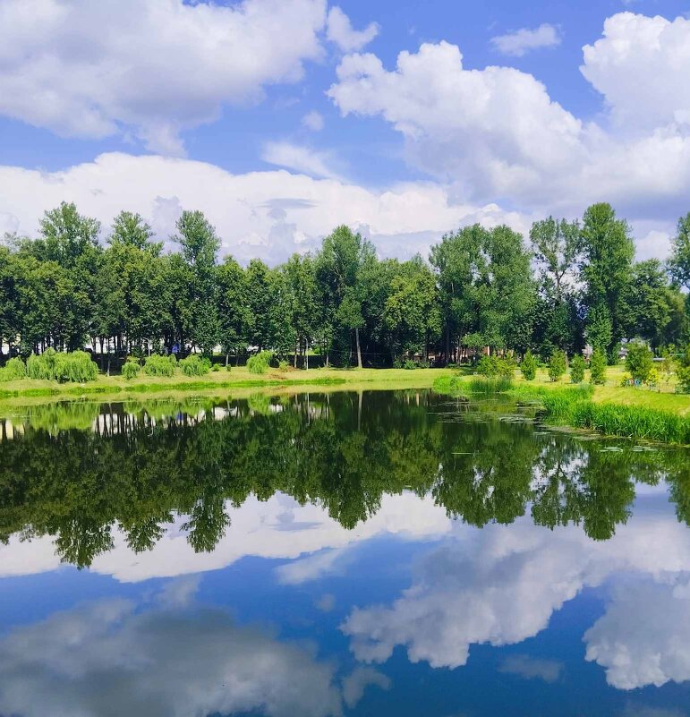 Отражение - Галина Бобкина